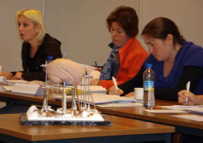 Course participants at their desks taking notes, an anatomical model of the brain on a stand in the foreground.